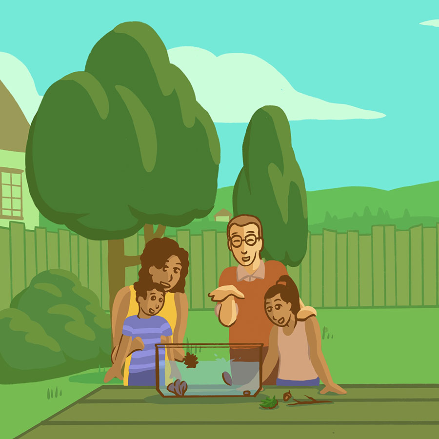 Illustration of a family in the backyard testing whether different objects sink or float in a fish tank.