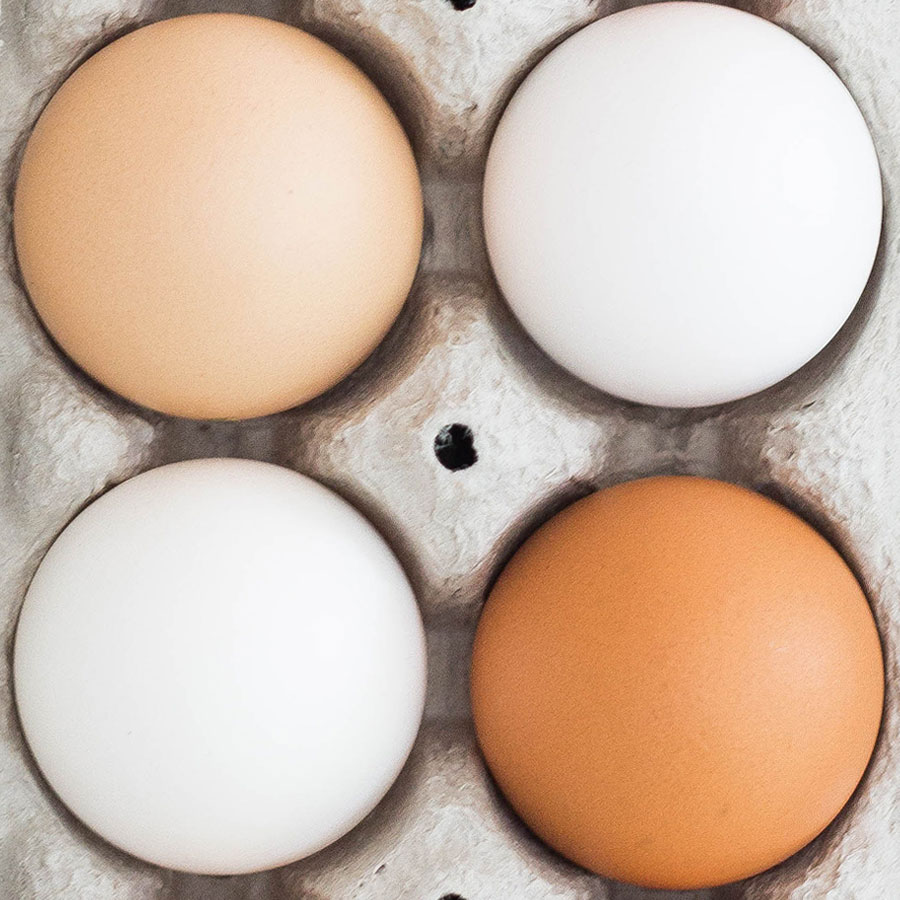 Four eggs in a standard egg carton.