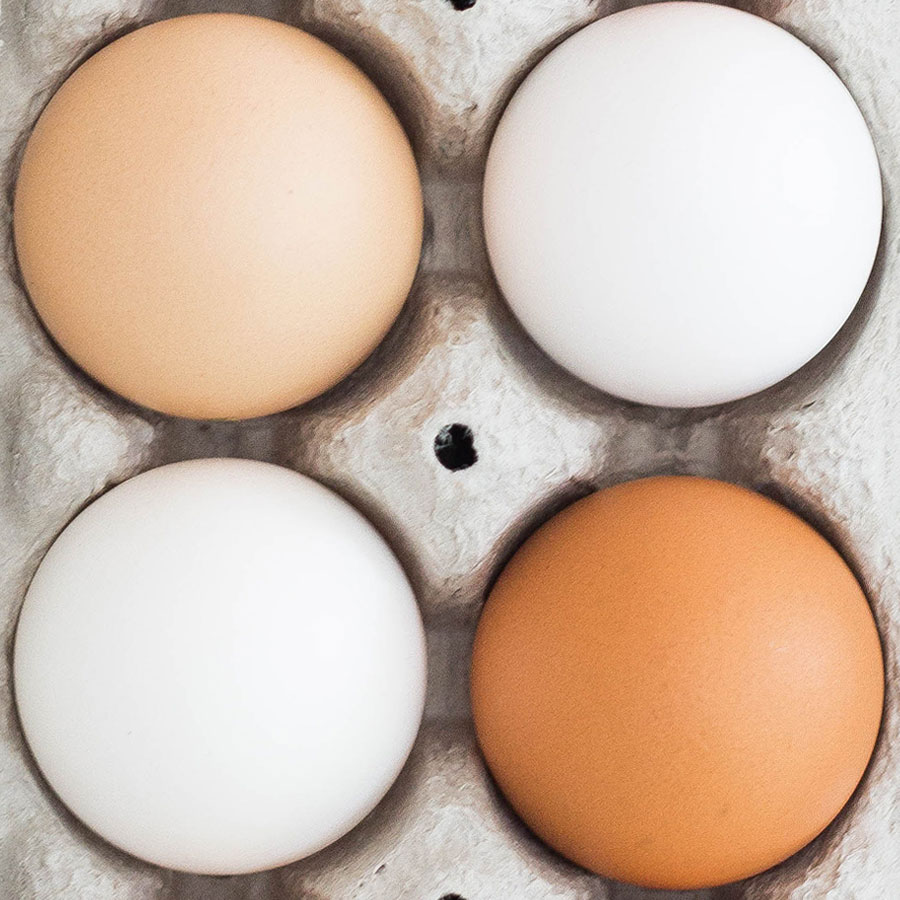 Why This Egg Color Was Removed?