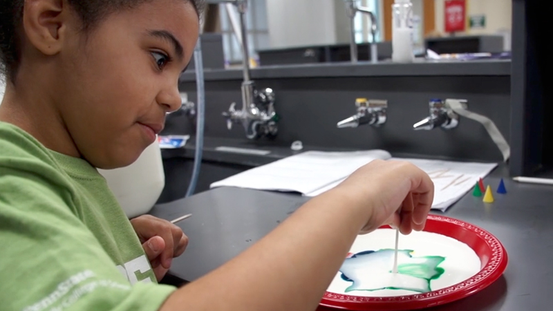 A kid drops food coloring onto a red plastic plate containing milk and observes the resultant patterns.