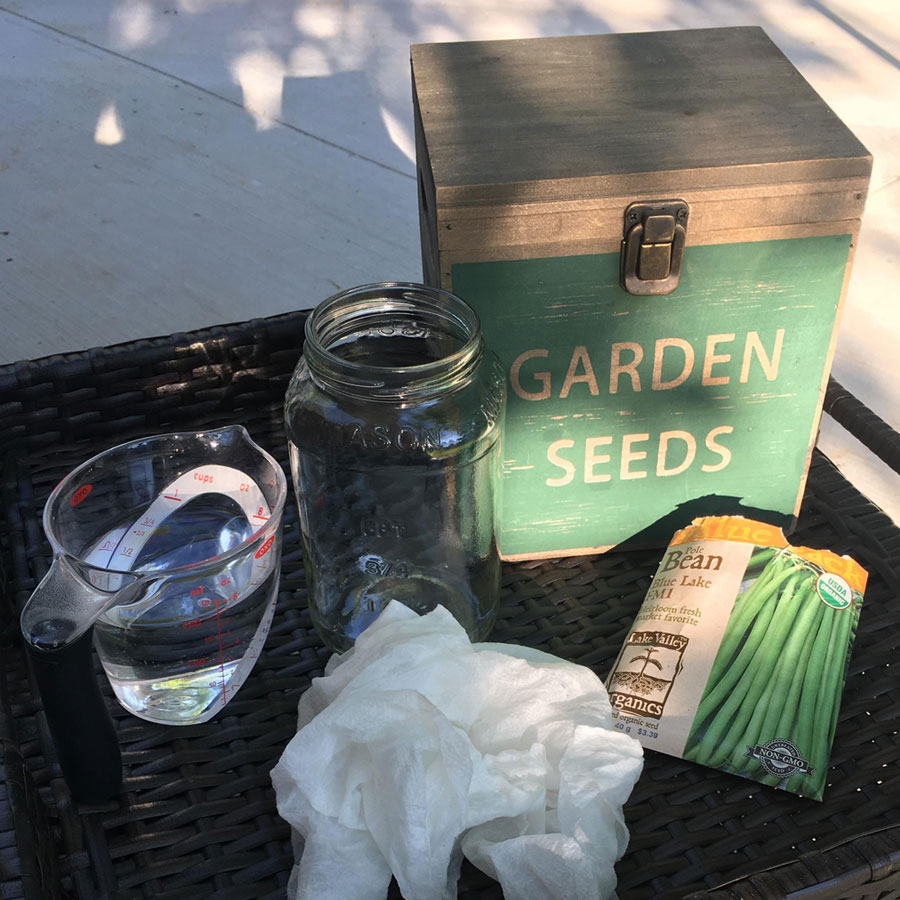 A measuring cup, jar, and seeds for creating a seed growing experiment.