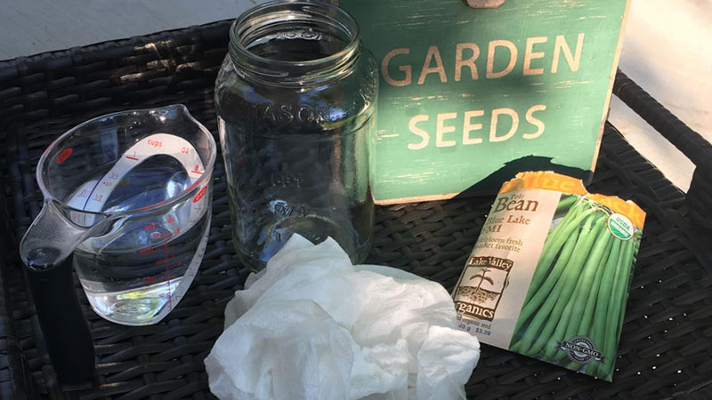 A measuring cup, jar, and seeds for creating a seed growing experiment.