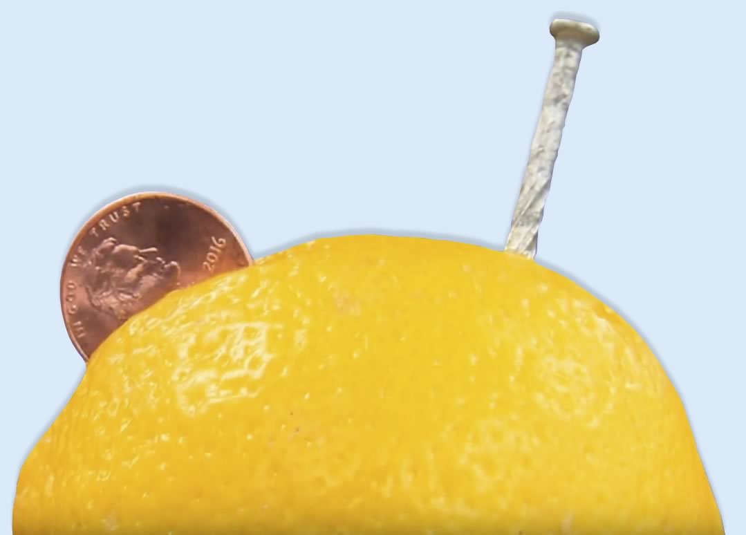 Penny and Galvanized Nail in a Lemon