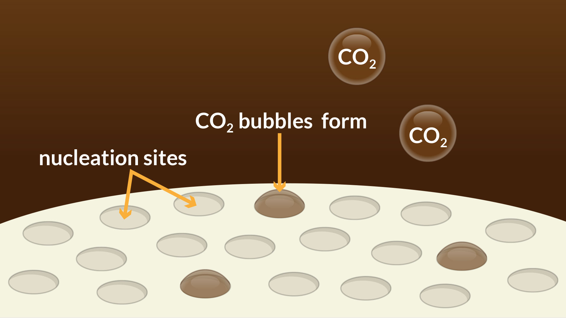 Schematic of CO2 bubbles floating above small indentations on the surface of a Mentos candy. These are the nucleation sites where gas molecules can congregate.