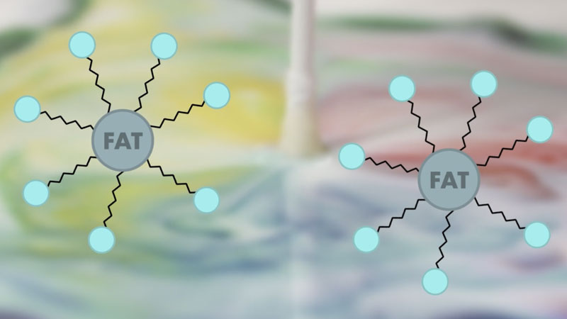 Soap molecules surrounding fat molecules.